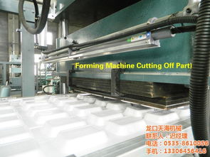 一次性餐盒生产设备 龙口天海机械引领行业创新，助力环保餐盒高效制造